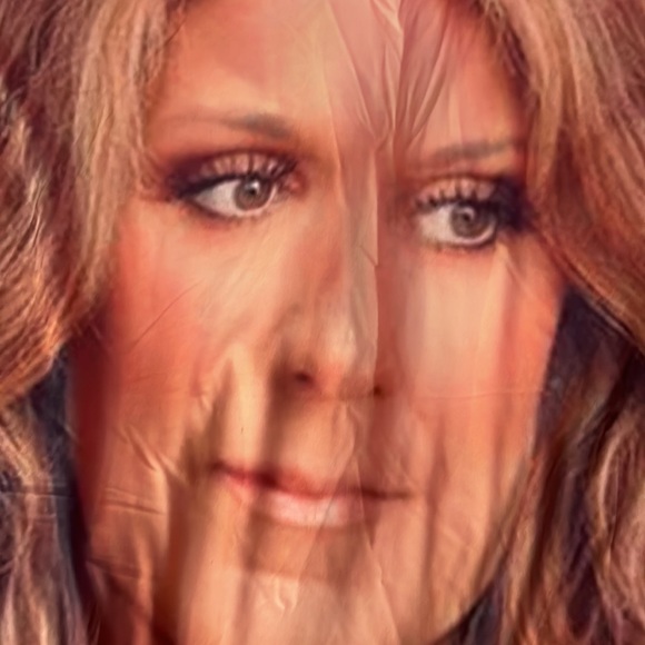 Celine Dion silky tshirt - Picture 2 of 3